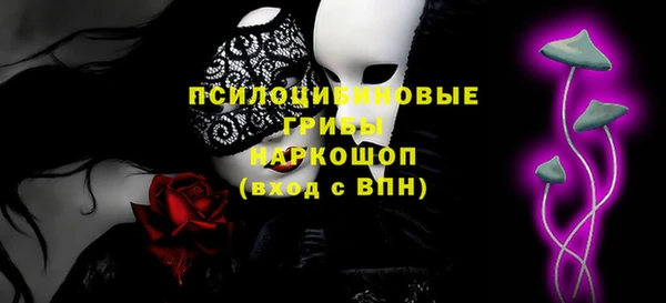 амф Белокуриха